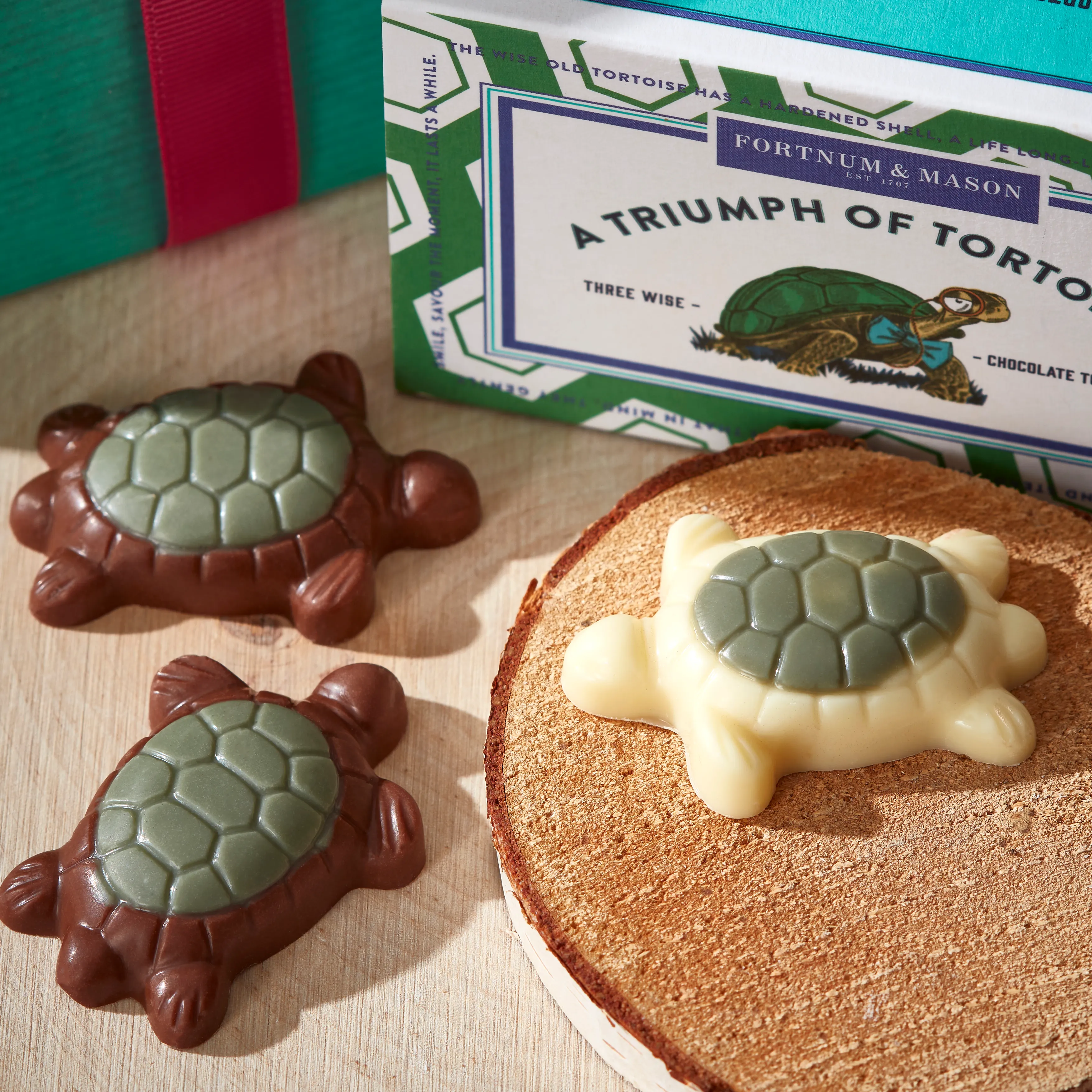 A Triumph of Chocolate Tortoises Matchbox, 25g