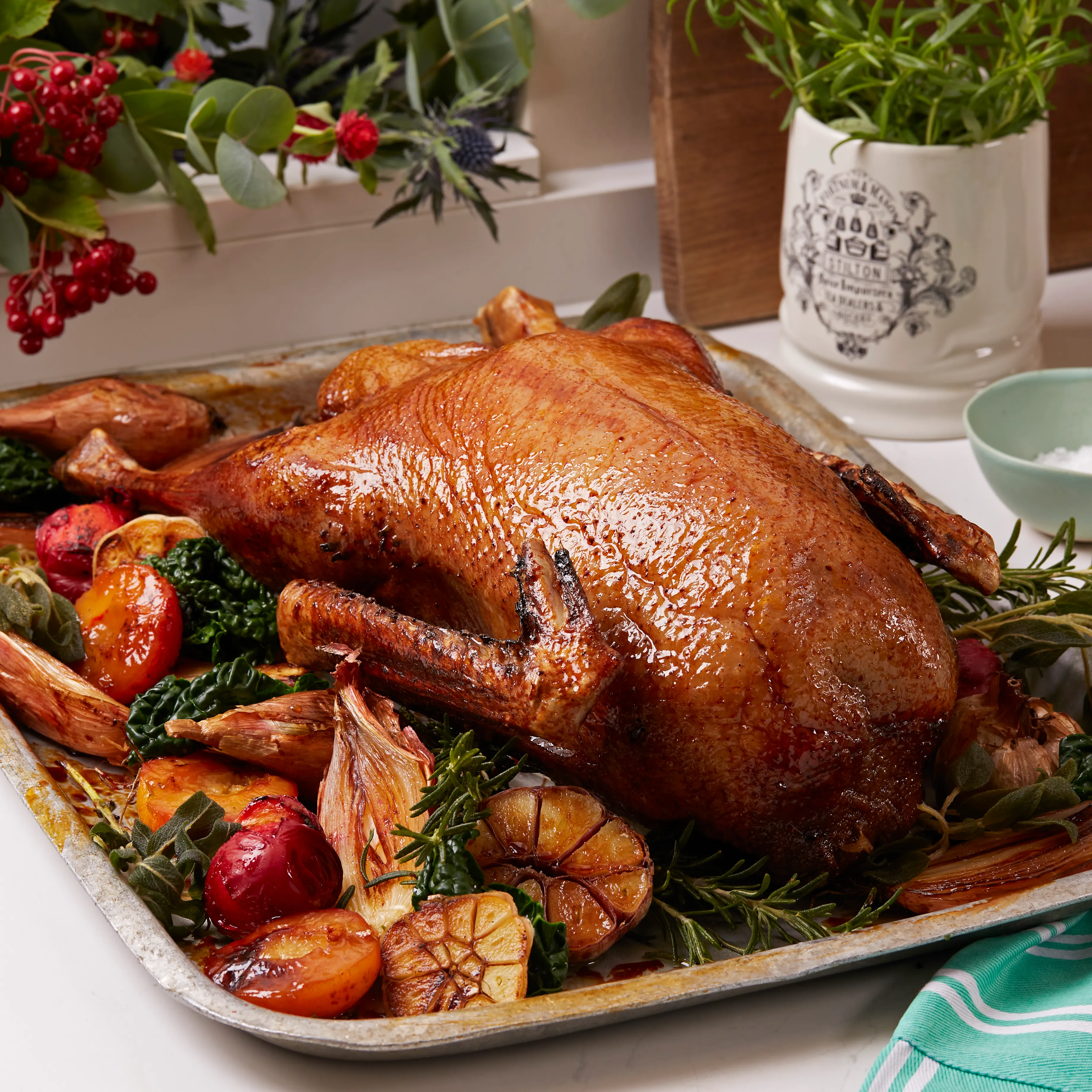 Free Range Goose, Oven Ready, Medium, 5-5.79kg