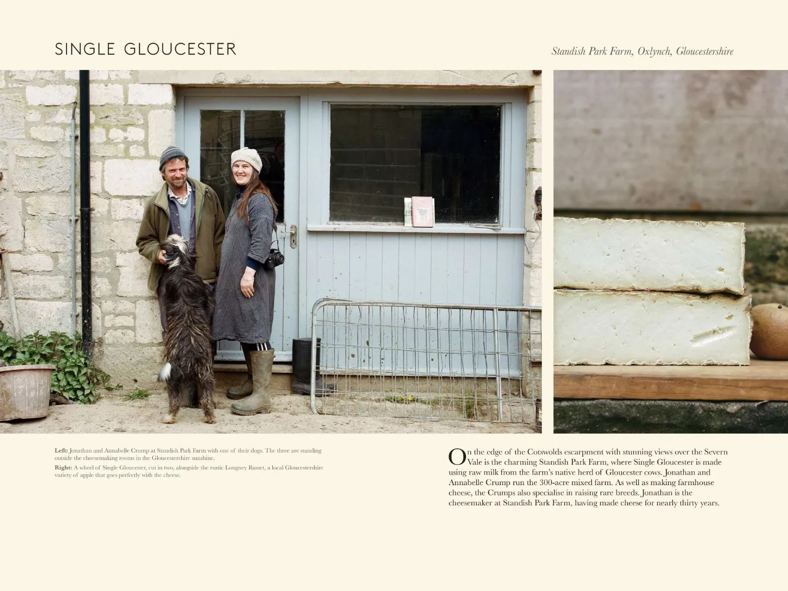 A Portrait of British Cheese 3 A Portrait of British Cheese