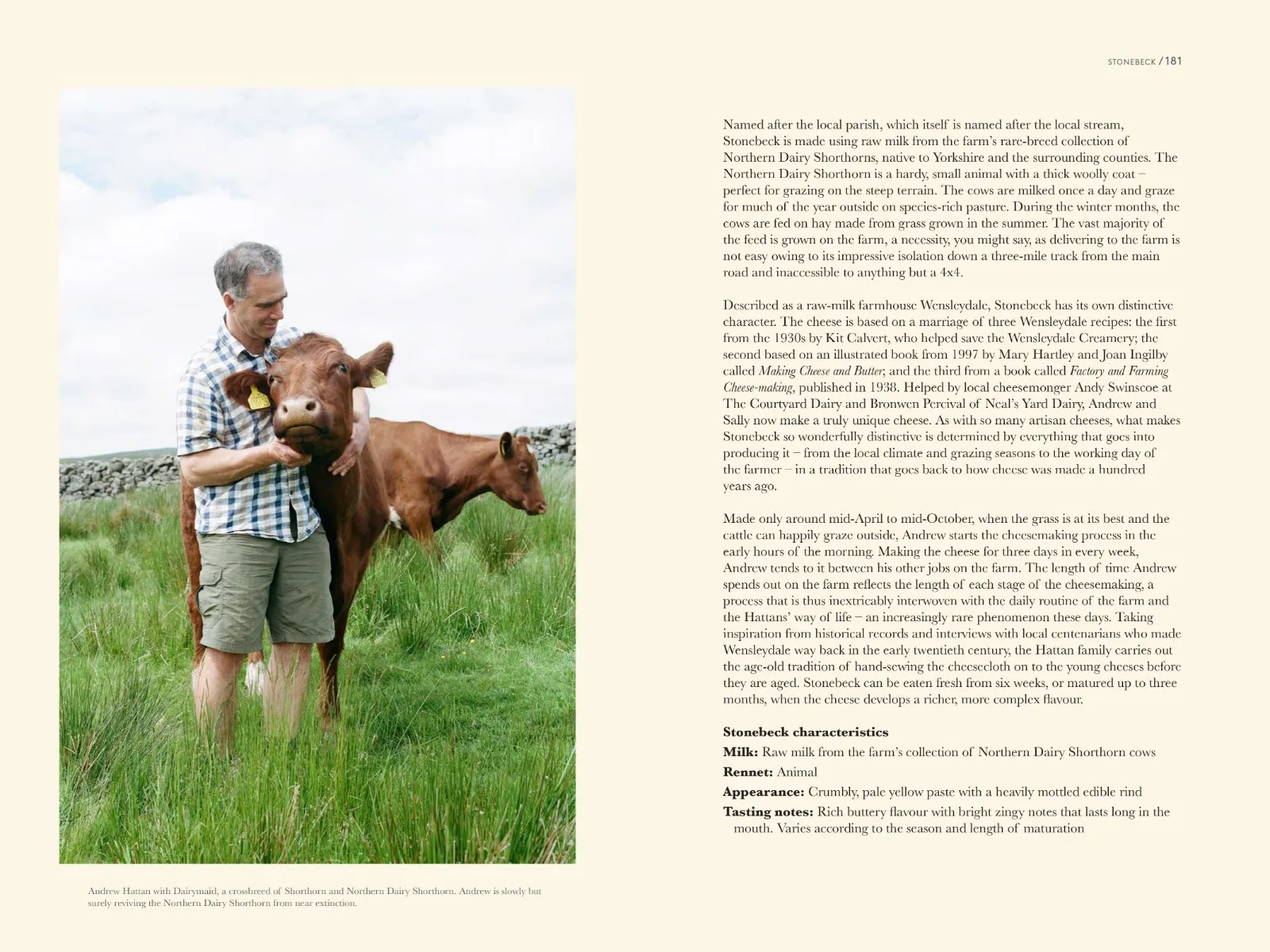 A Portrait of British Cheese 4 A Portrait of British Cheese