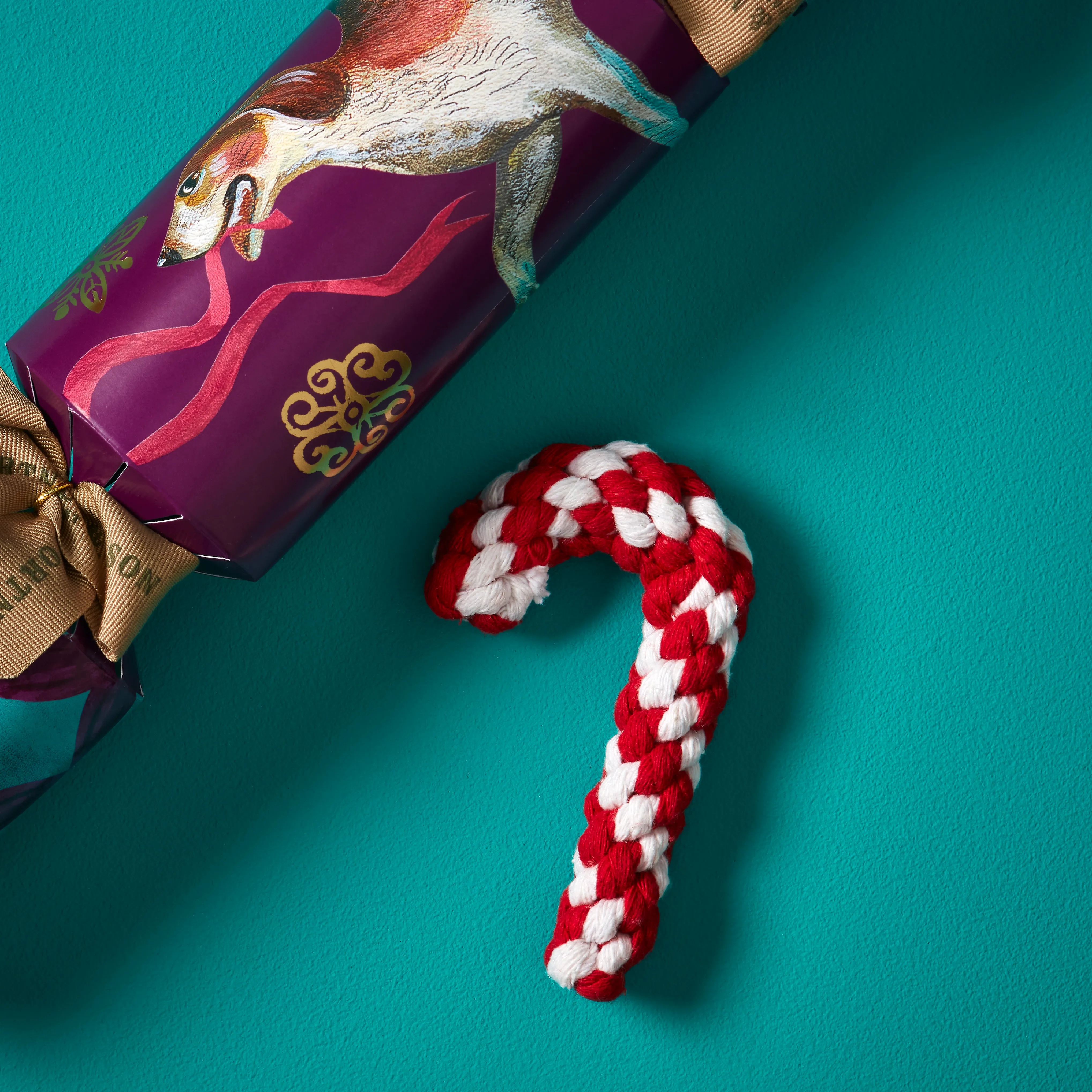 The Paw-Fect Cracker