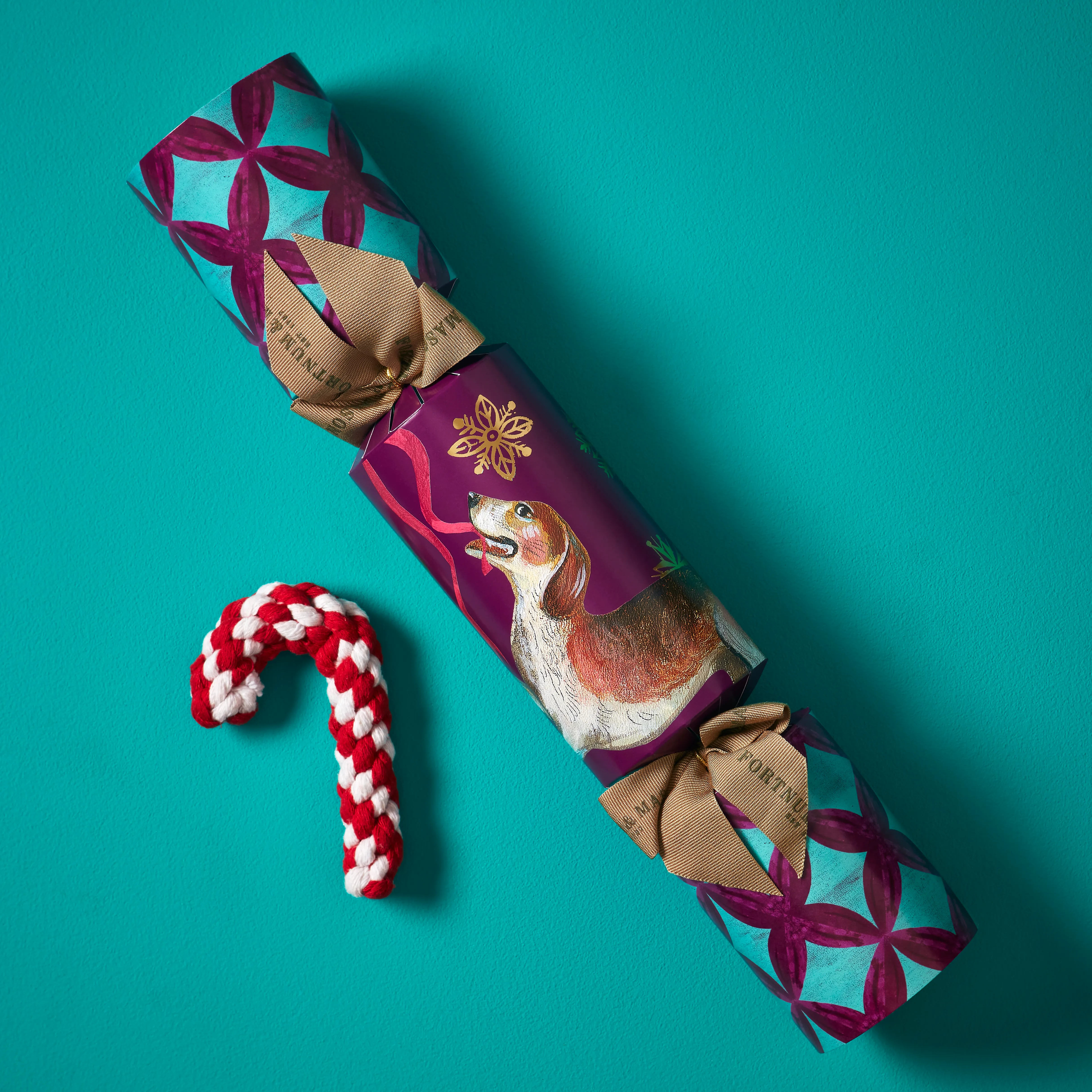 The Paw-Fect Cracker 3 The Paw-Fect Cracker