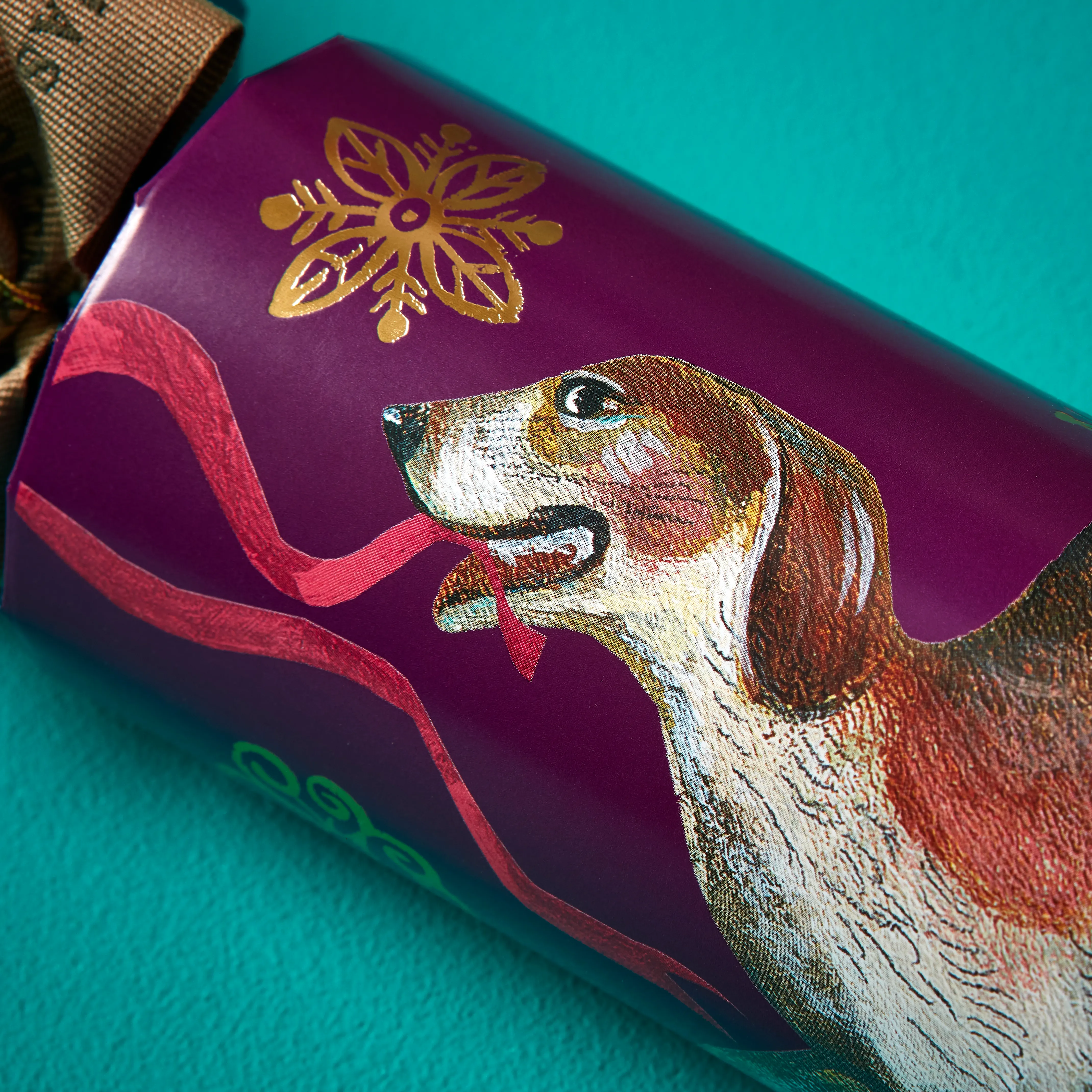 The Paw-Fect Cracker 4 The Paw-Fect Cracker